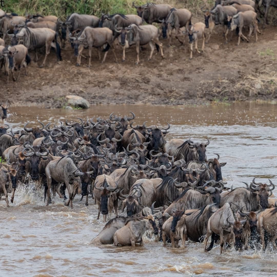 WhatsApp Image 2025 08 29 at 20.49.05_2a40831d