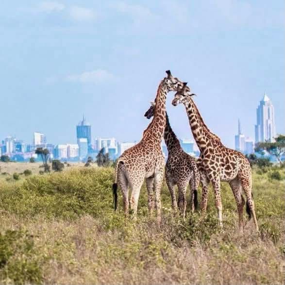 WhatsApp Image 2025 08 29 at 22.13.51_85e4fb8d