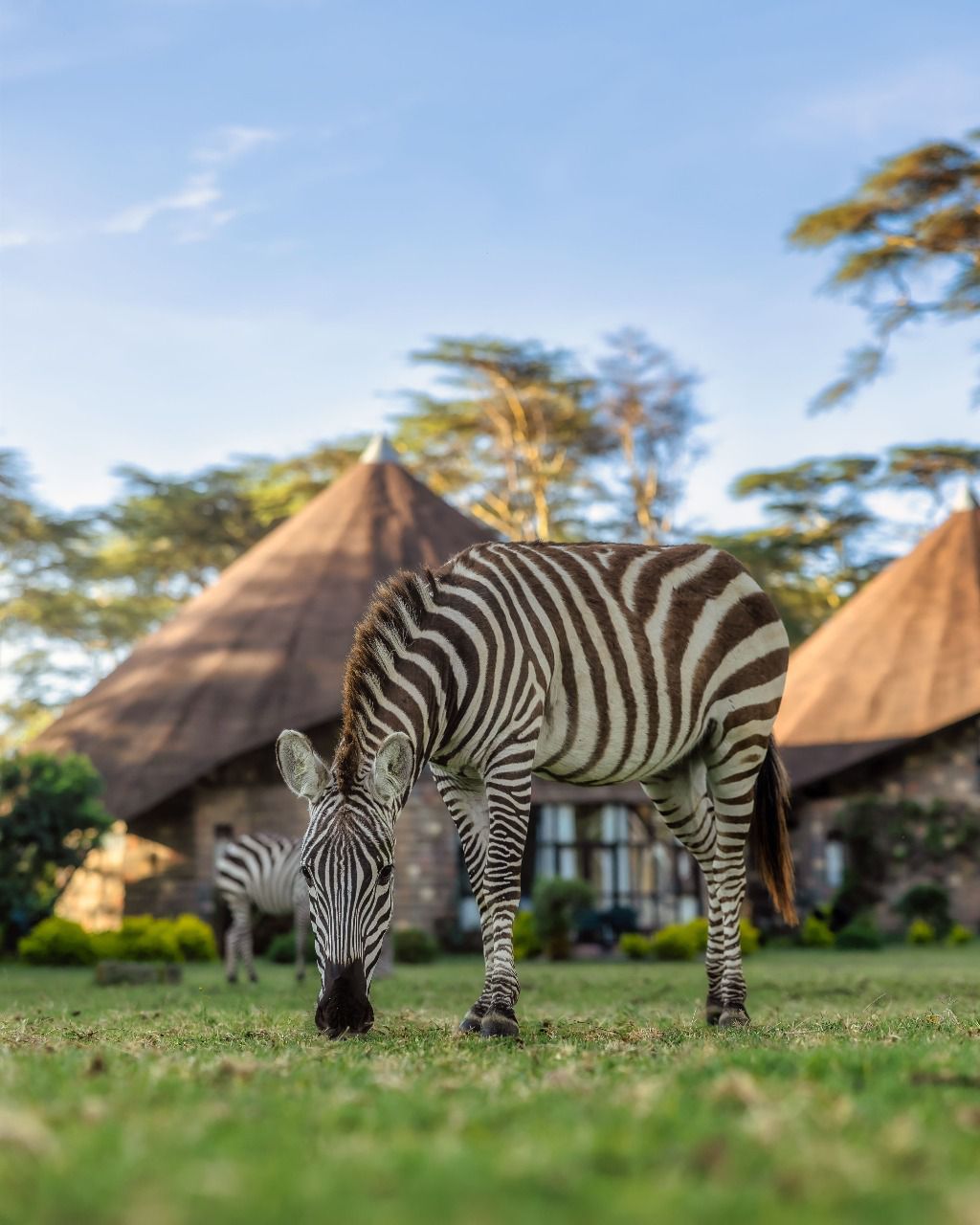 WhatsApp Image 2025 08 29 at 22.26.53_8ff1b729