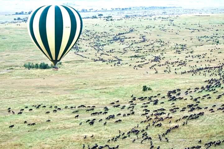 WhatsApp Image 2025 08 29 at 22.32.14_edb45b4f