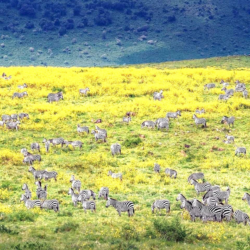 WhatsApp Image 2025 08 29 at 23.46.59_025ea10c