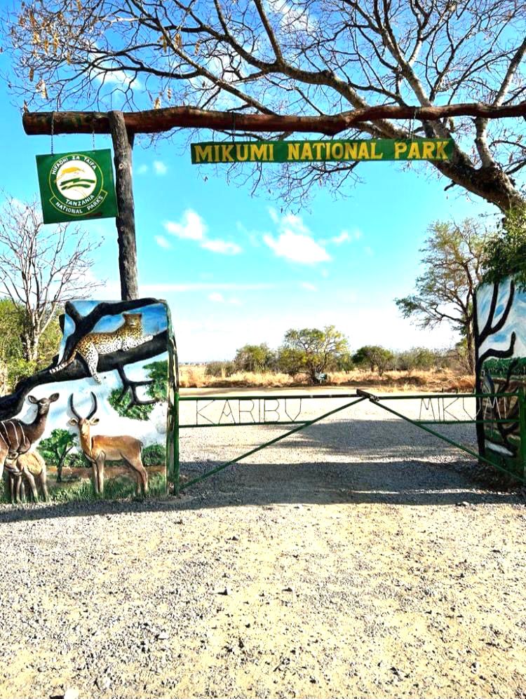 WhatsApp Image 2025 08 30 at 00.15.48_0581476a