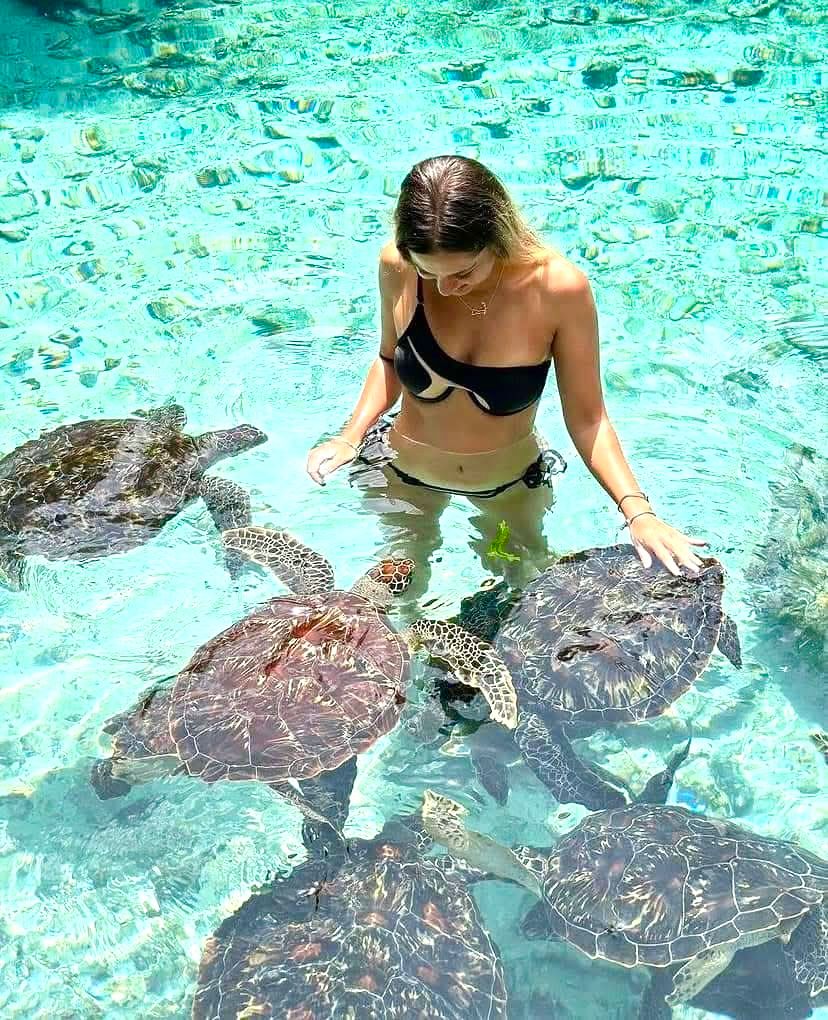 WhatsApp Image 2025 08 30 at 00.22.11_07453b76